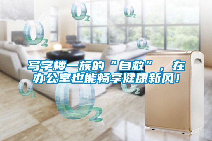 寫字樓一族的“自救”，在辦公室也能暢享健康新風(fēng)！