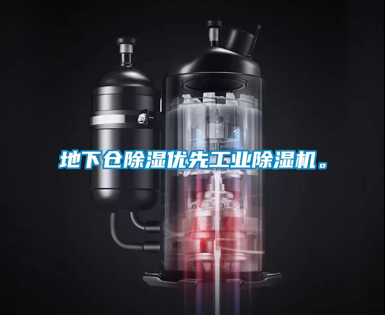 地下倉(cāng)除濕優(yōu)先工業(yè)除濕機(jī)。
