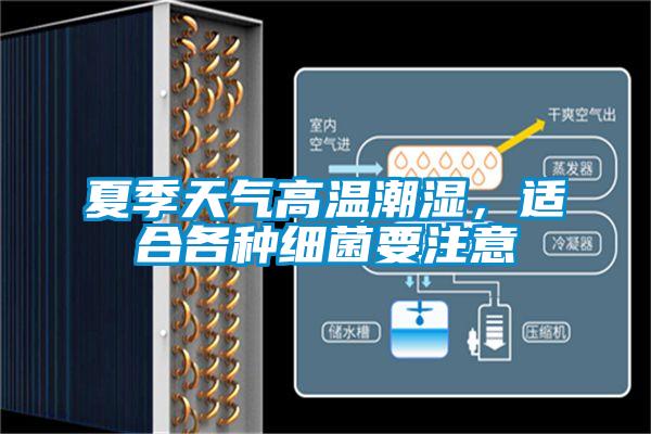 夏季天氣高溫潮濕，適合各種細菌要注意