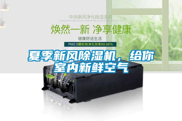 夏季新風除濕機，給你室內新鮮空氣
