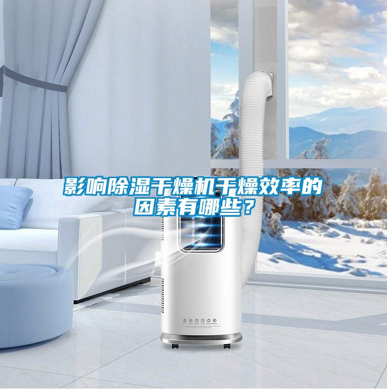 影響除濕干燥機(jī)干燥效率的因素有哪些？