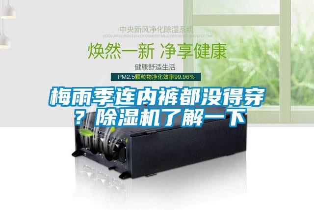 梅雨季連內褲都沒得穿？除濕機了解一下