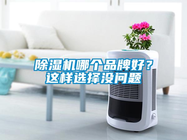 除濕機哪個品牌好？這樣選擇沒問題