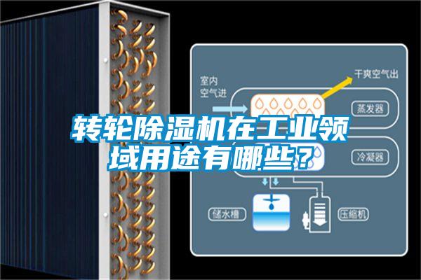 轉輪除濕機在工業(yè)領域用途有哪些？