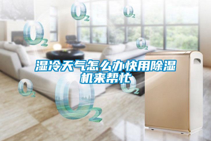 濕冷天氣怎么辦快用除濕機(jī)來幫忙