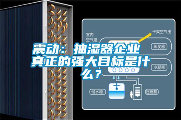 震動：抽濕器企業 真正的強大目標是什么？