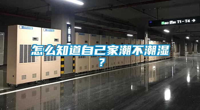 怎么知道自己家潮不潮濕？
