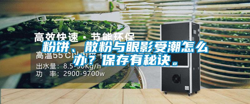 粉餅、散粉與眼影受潮怎么辦？保存有秘訣。