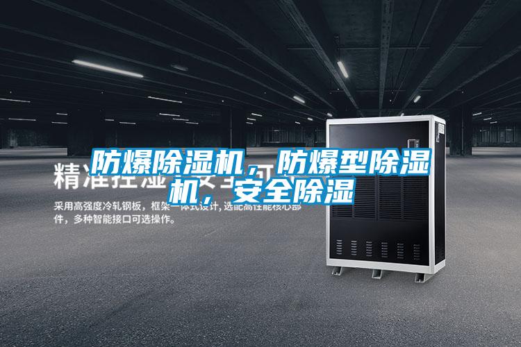 防爆除濕機(jī)，防爆型除濕機(jī)，安全除濕