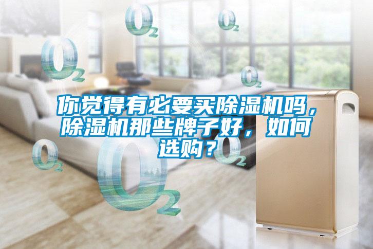 你覺得有必要買除濕機嗎，除濕機那些牌子好，如何選購？