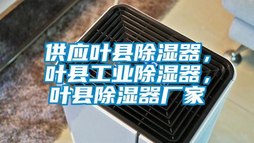 供應(yīng)葉縣除濕器，葉縣工業(yè)除濕器，葉縣除濕器廠家