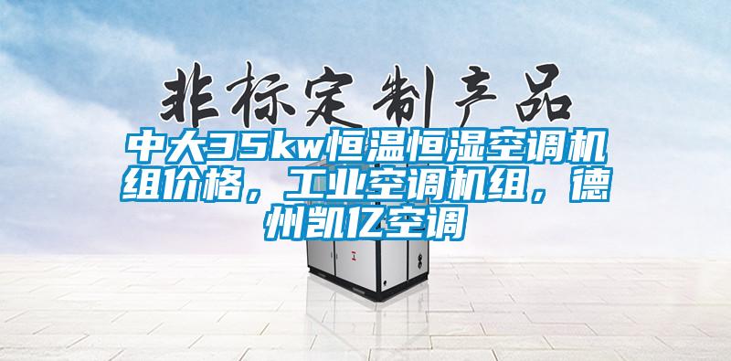 中大35kw恒溫恒濕空調(diào)機(jī)組價格，工業(yè)空調(diào)機(jī)組，德州凱億空調(diào)