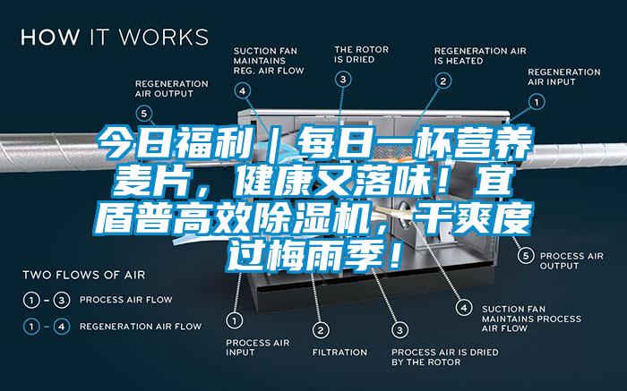 今日福利｜每日一杯營(yíng)養(yǎng)麥片，健康又落味！宜盾普高效除濕機(jī)，干爽度過(guò)梅雨季！