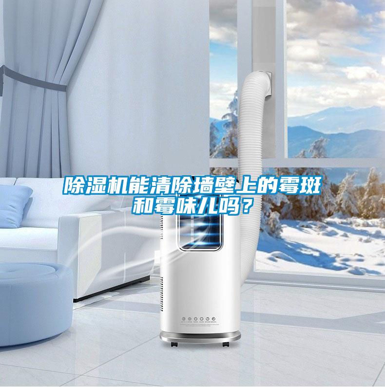 除濕機(jī)能清除墻壁上的霉斑和霉味兒嗎？