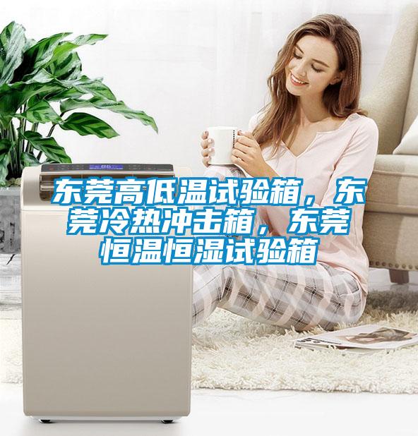 東莞高低溫試驗(yàn)箱，東莞冷熱沖擊箱，東莞恒溫恒濕試驗(yàn)箱