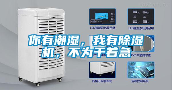 你有潮濕，我有除濕機(jī)，不為干著急