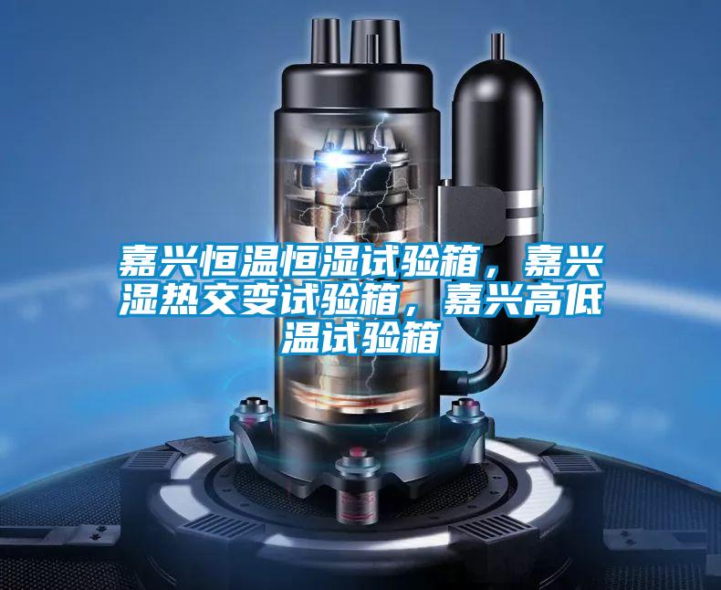 嘉興恒溫恒濕試驗(yàn)箱，嘉興濕熱交變?cè)囼?yàn)箱，嘉興高低溫試驗(yàn)箱