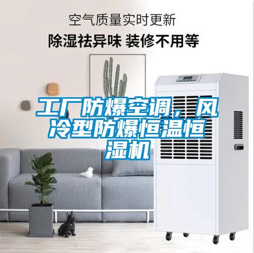 工廠防爆空調(diào)，風冷型防爆恒溫恒濕機