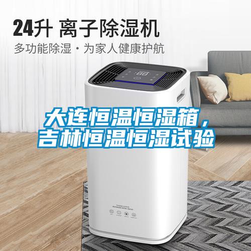 大連恒溫恒濕箱，吉林恒溫恒濕試驗