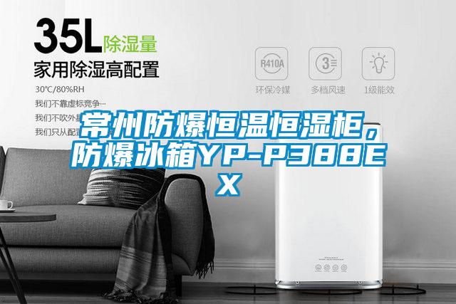 常州防爆恒溫恒濕柜，防爆冰箱YP-P388EX