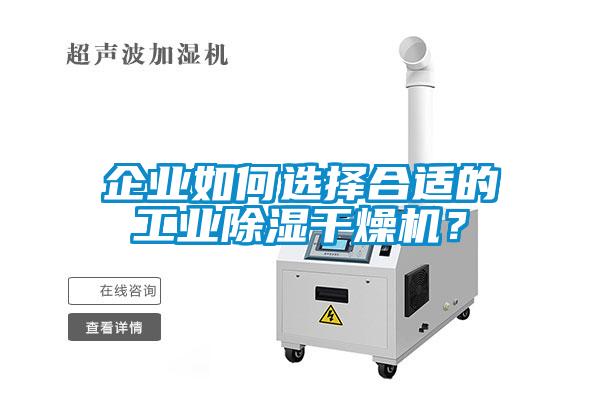 企業如何選擇合適的工業除濕干燥機？