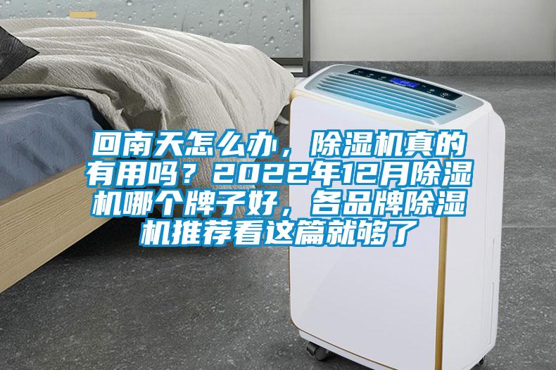 回南天怎么辦，除濕機真的有用嗎？2022年12月除濕機哪個牌子好，各品牌除濕機推薦看這篇就夠了