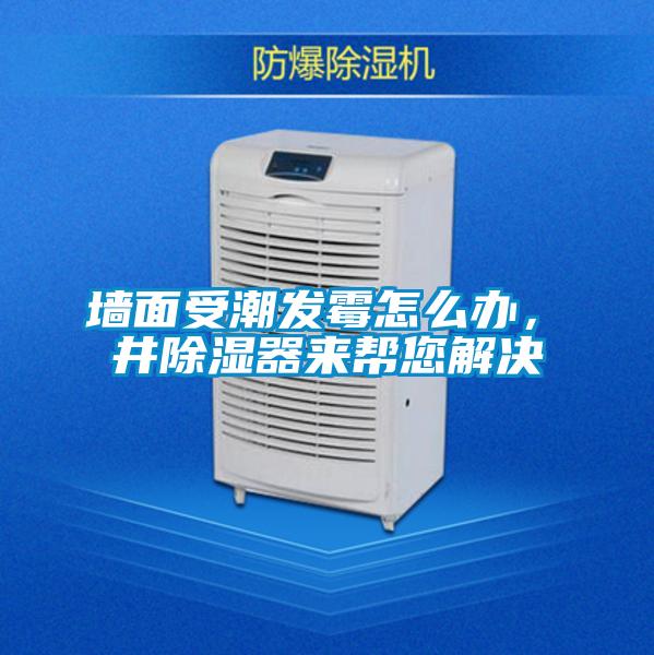 墻面受潮發(fā)霉怎么辦，東井除濕器來(lái)幫您解決