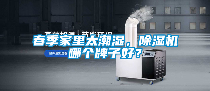 春季家里太潮濕，除濕機哪個牌子好？