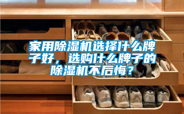 家用除濕機(jī)選擇什么牌子好，選購什么牌子的除濕機(jī)不后悔？