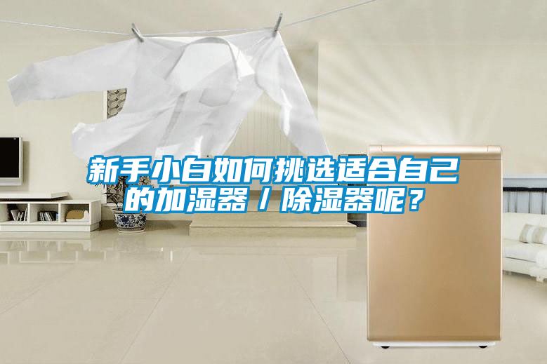 新手小白如何挑選適合自己的加濕器／除濕器呢？