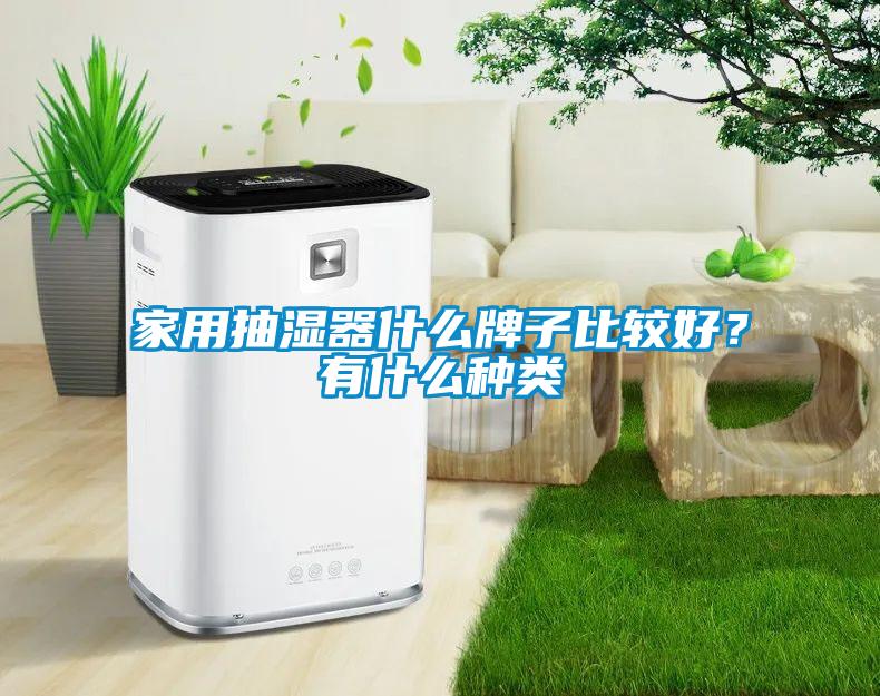 家用抽濕器什么牌子比較好？有什么種類