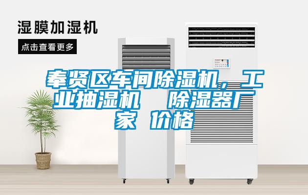 奉賢區車間除濕機，工業抽濕機  除濕器廠家 價格