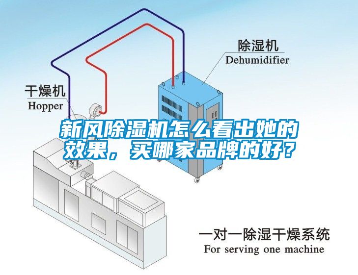 新風(fēng)除濕機怎么看出她的效果，買哪家品牌的好？