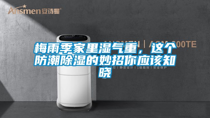 梅雨季家里濕氣重，這個防潮除濕的妙招你應該知曉