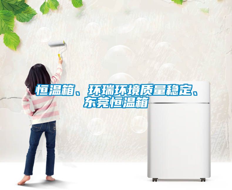 恒溫箱、環瑞環境質量穩定、東莞恒溫箱