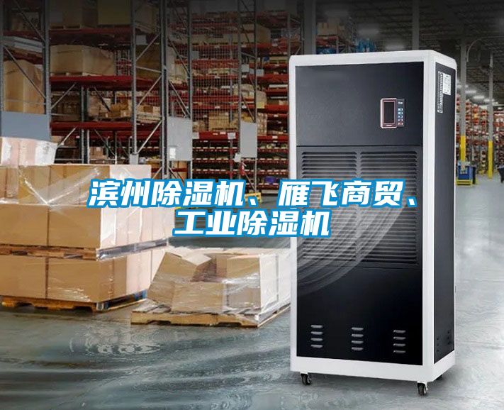 濱州除濕機(jī)、雁飛商貿(mào)、工業(yè)除濕機(jī)
