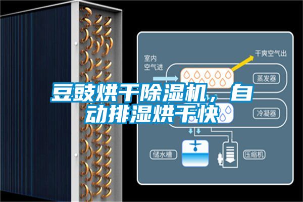 豆豉烘干除濕機(jī)，自動(dòng)排濕烘干快