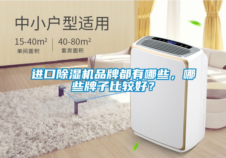 進(jìn)口除濕機(jī)品牌都有哪些，哪些牌子比較好？