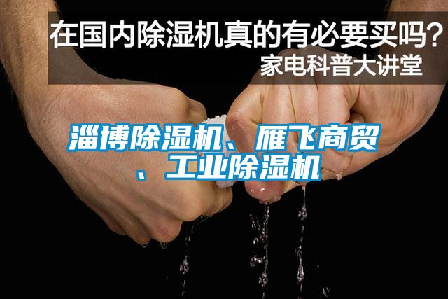 淄博除濕機(jī)、雁飛商貿(mào)、工業(yè)除濕機(jī)