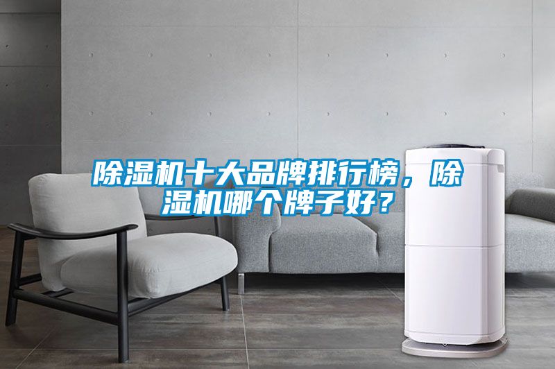 除濕機十大品牌排行榜，除濕機哪個牌子好？